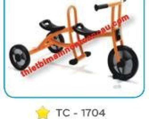 Xe đạp 3 bánh Italtrike TC-1704