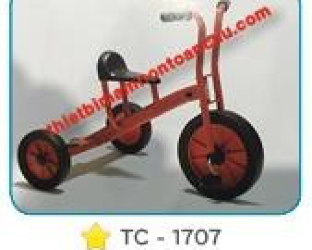 Xe đạp 3 bánh Italtrike TC-1707