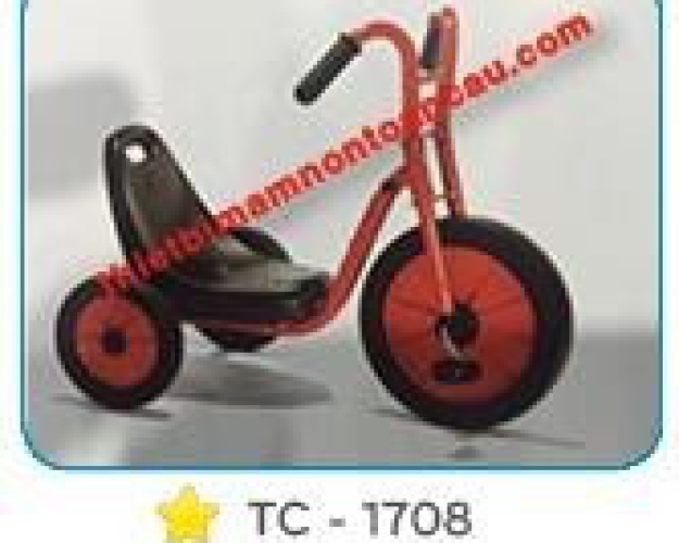 Xe đạp 3 bánh Italtrike TC-1708