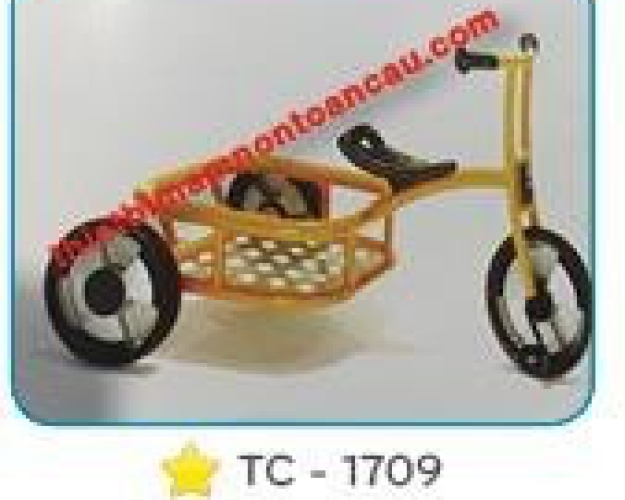 Xe đạp 3 bánh Italtrike TC-1709 